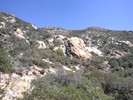 photo thumbnail #1