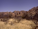 photo thumbnail #2