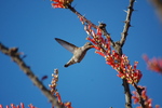 photo thumbnail #7