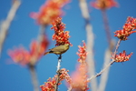 photo thumbnail #9