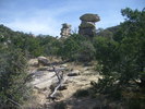 photo thumbnail #5