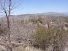 photo thumbnail #4