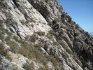 photo thumbnail #12