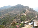 photo thumbnail #15