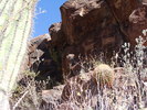 photo thumbnail #10