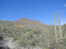 photo thumbnail #7