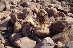 photo thumbnail #3