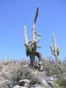 photo thumbnail #4