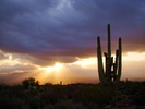 photo thumbnail #2