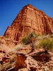 photo thumbnail #10