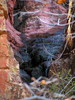 photo thumbnail #13
