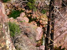photo thumbnail #14