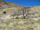 photo thumbnail #7
