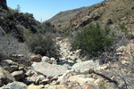 photo thumbnail #8