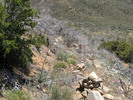 photo thumbnail #10