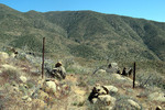 photo thumbnail #14