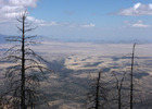photo thumbnail #3