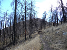 photo thumbnail #4