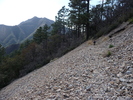 photo thumbnail #8