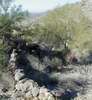 photo thumbnail #13