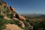 photo thumbnail #4