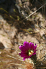 photo thumbnail #14