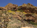 photo thumbnail #5