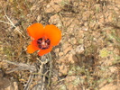 photo thumbnail #7