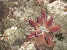 photo thumbnail #8