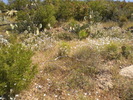 photo thumbnail #14