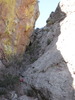photo thumbnail #9