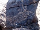 photo thumbnail #14