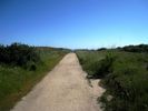 photo thumbnail #12