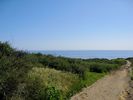 photo thumbnail #13