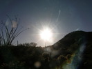 photo thumbnail #2