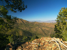photo thumbnail #9