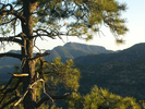photo thumbnail #14