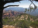 photo thumbnail #6