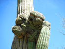 photo thumbnail #11