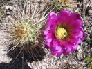 photo thumbnail #10
