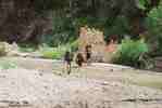 photo thumbnail #12