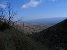 photo thumbnail #2