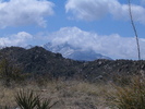 photo thumbnail #5