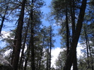photo thumbnail #8
