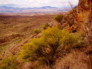 photo thumbnail #6