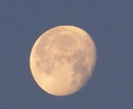 photo thumbnail #10