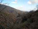 photo thumbnail #4