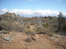 photo thumbnail #10