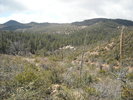 photo thumbnail #11