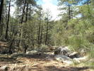 photo thumbnail #12